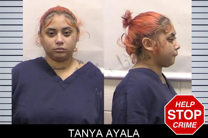 Tanya Ayala mugshot