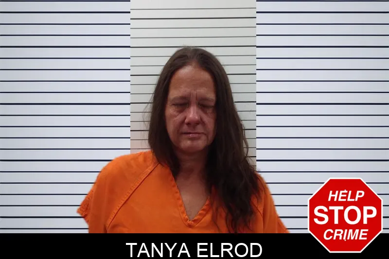 Tanya Elrod mugshot