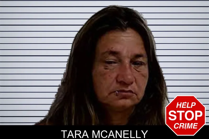 Tara McAnelly mugshot