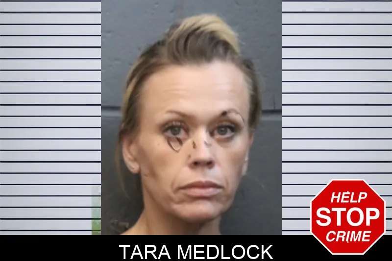 Tara Medlock mugshot