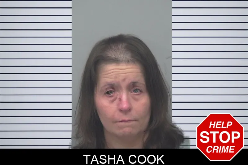 Tasha Cook mugshot