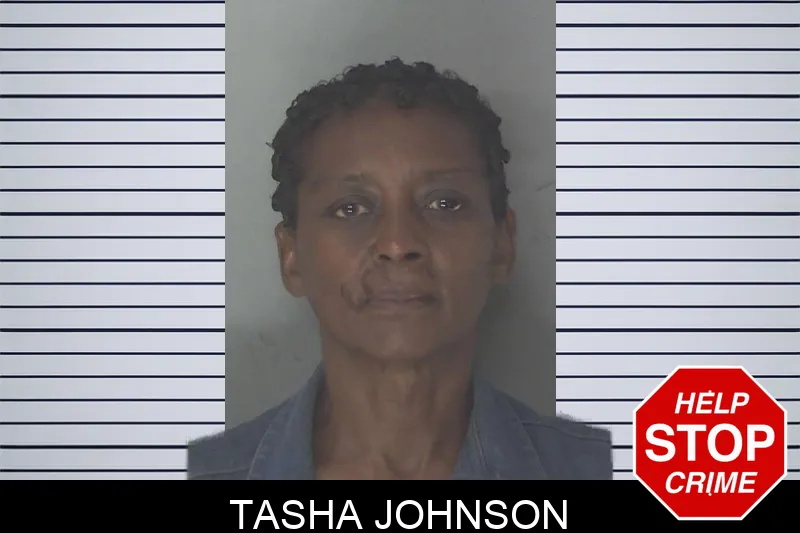 Tasha Johnson mugshot