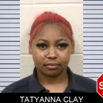 Tatyanna Clay mugshot – Bulloch County , Georgia Tatyanna Clay mugshot