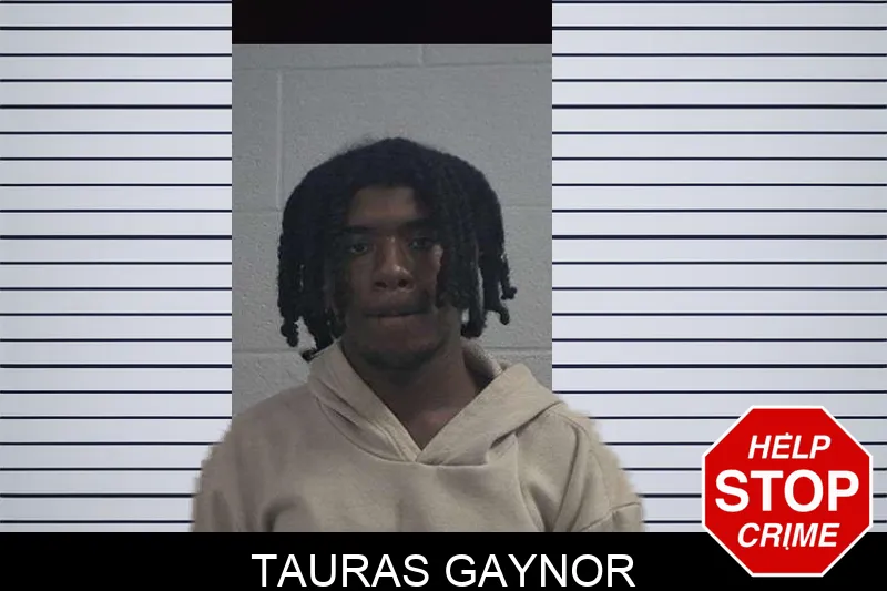 Tauras Gaynor mugshot – McDuffie County , Georgia Tauras Gaynor mugshot