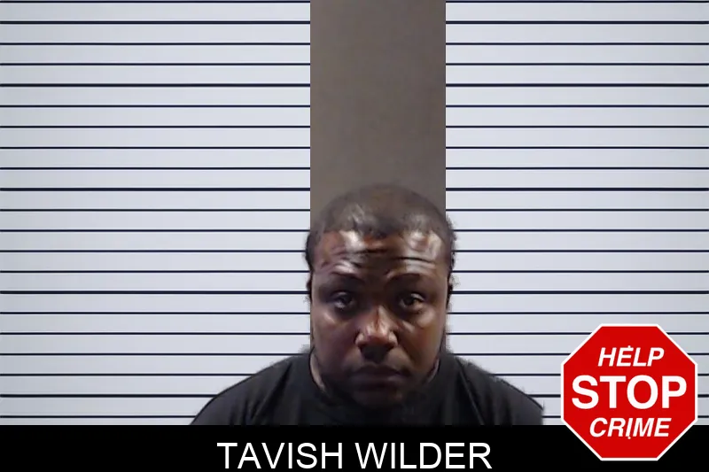 Tavish Wilder mugshot
