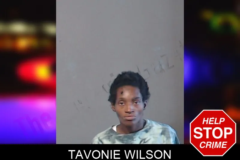 Tavonie Wilson mugshot