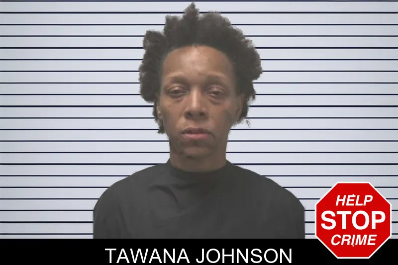 Tawana Johnson mugshot