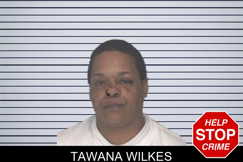 Tawana Wilkes mugshot