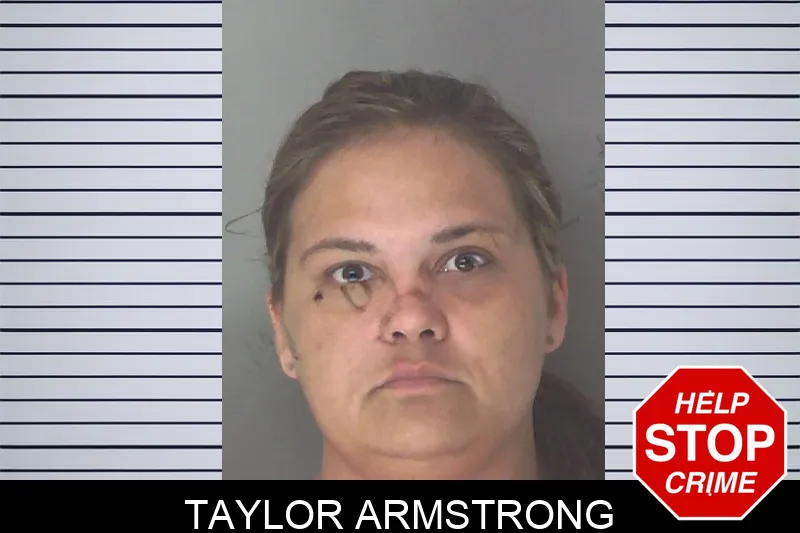 Taylor Armstrong mugshot