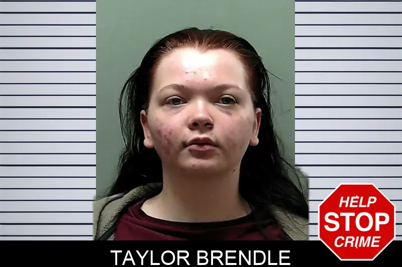 Taylor Brendle mugshot