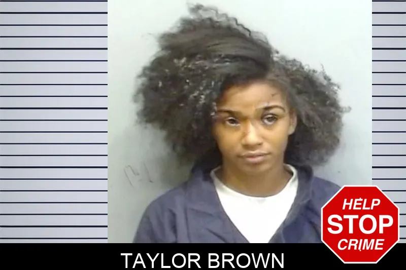 Taylor Brown mugshot