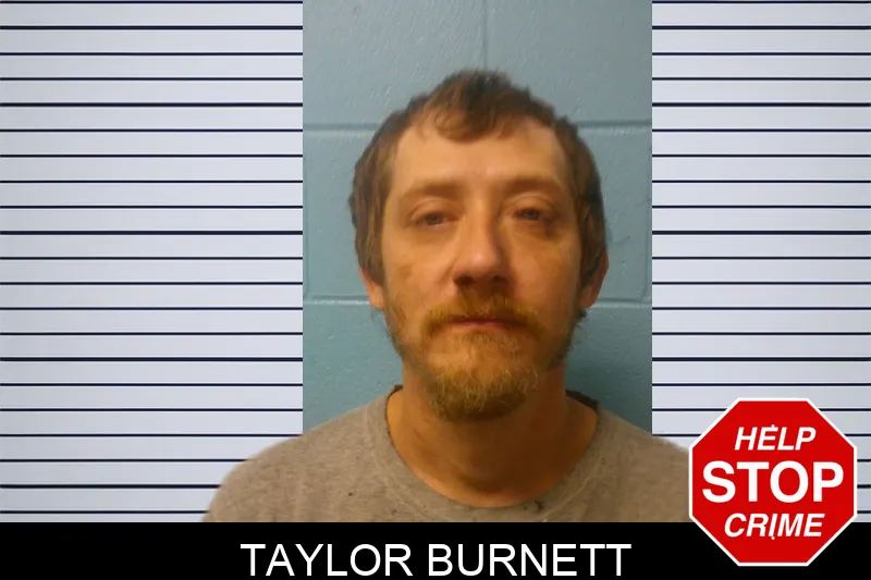 Taylor Burnett mugshot – Franklin County , Georgia Taylor Burnett mugshot