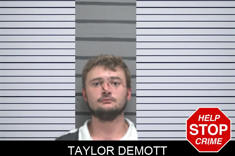 Taylor Demott mugshot
