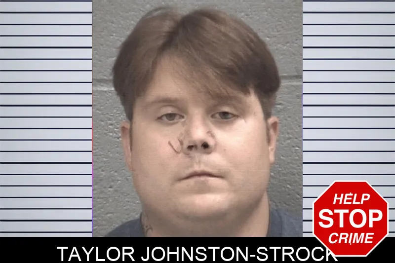 Taylor Johnston-Strock mugshot