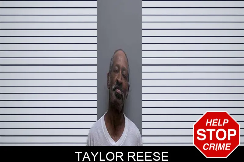 Taylor Reese mugshot