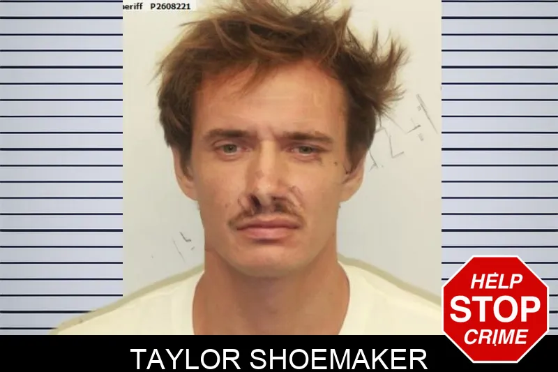 Taylor Shoemaker mugshot – Chatham County , Georgia Taylor Shoemaker mugshot