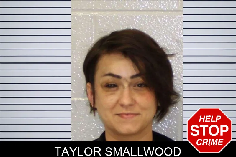 Taylor Smallwood mugshot – Carroll County , Georgia Taylor Smallwood mugshot