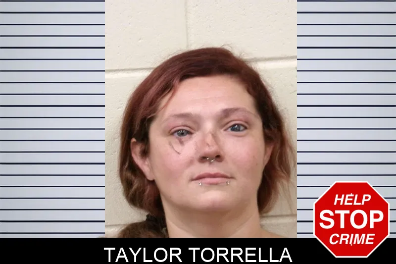 Taylor Torrella mugshot – Bulloch County , Georgia Taylor Torrella mugshot