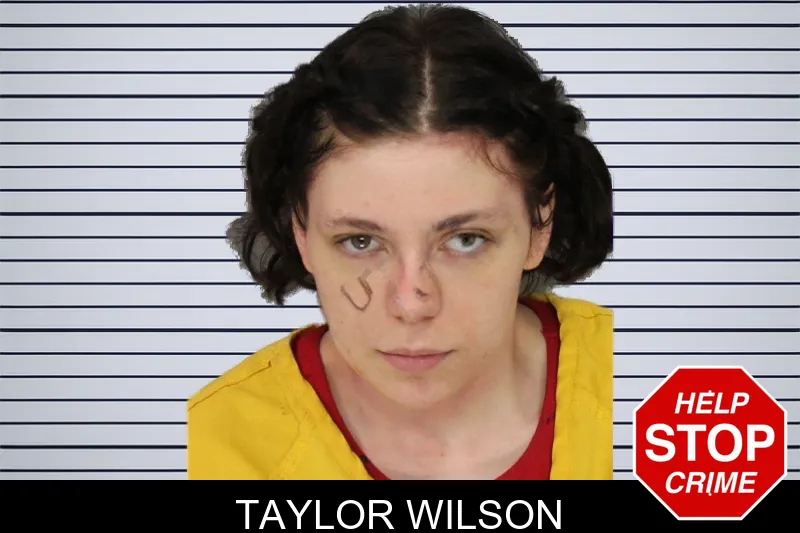 Taylor Wilson mugshot