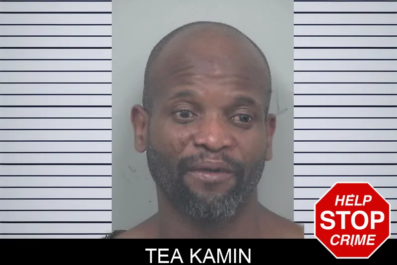 Tea Kamin mugshot