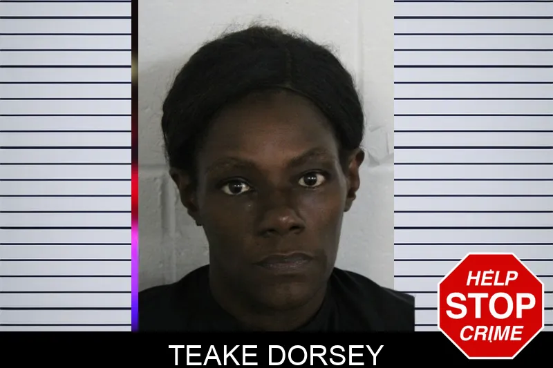Teake Dorsey mugshot