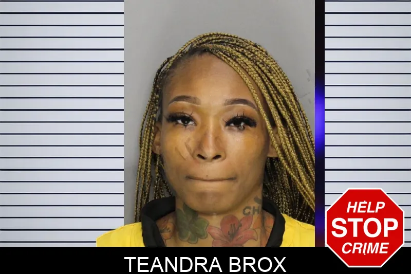 Teandra Brox mugshot – Cobb County , Georgia Teandra Brox mugshot