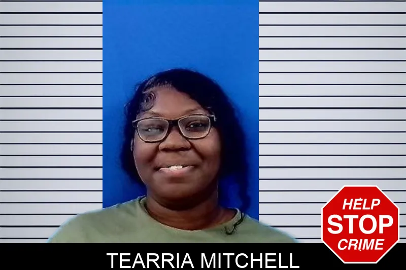 Tearria Mitchell mugshot – Troup County , Georgia Tearria Mitchell mugshot