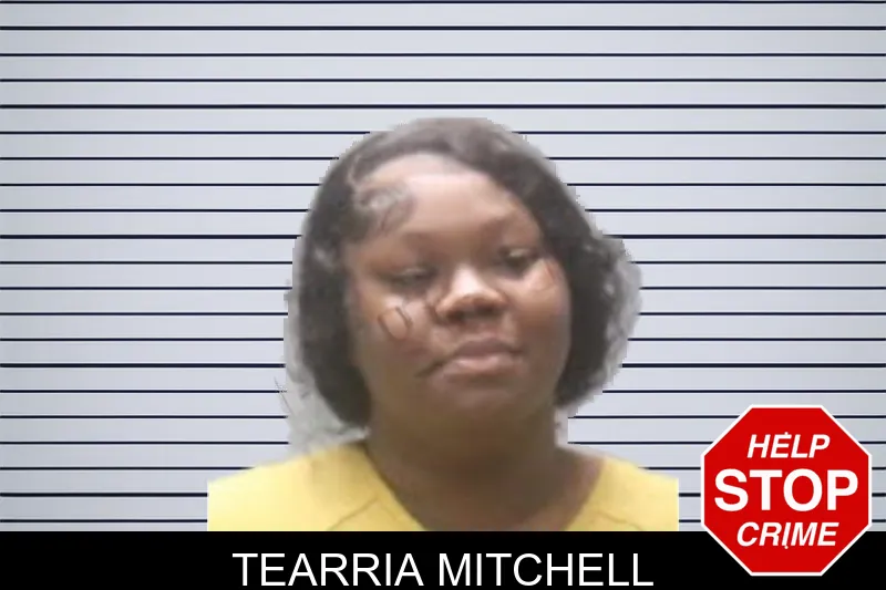 Tearria Mitchell mugshot