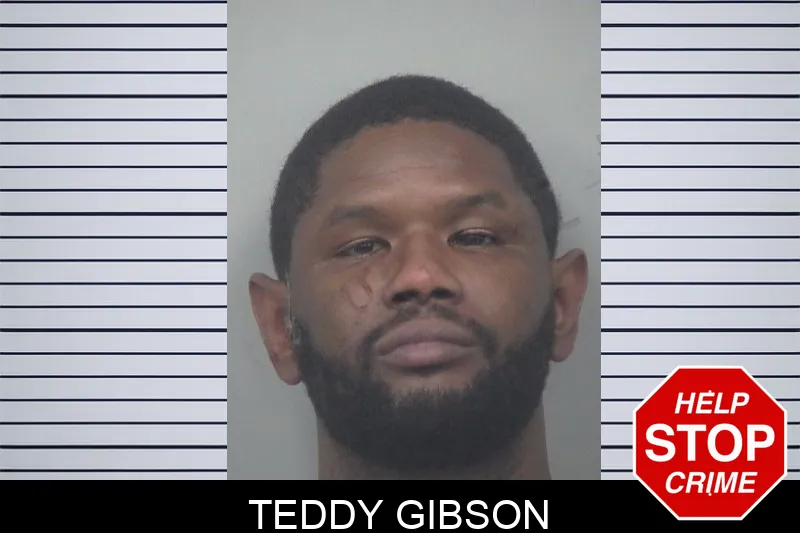 Teddy Gibson mugshot – Gwinnett County , Georgia Teddy Gibson mugshot