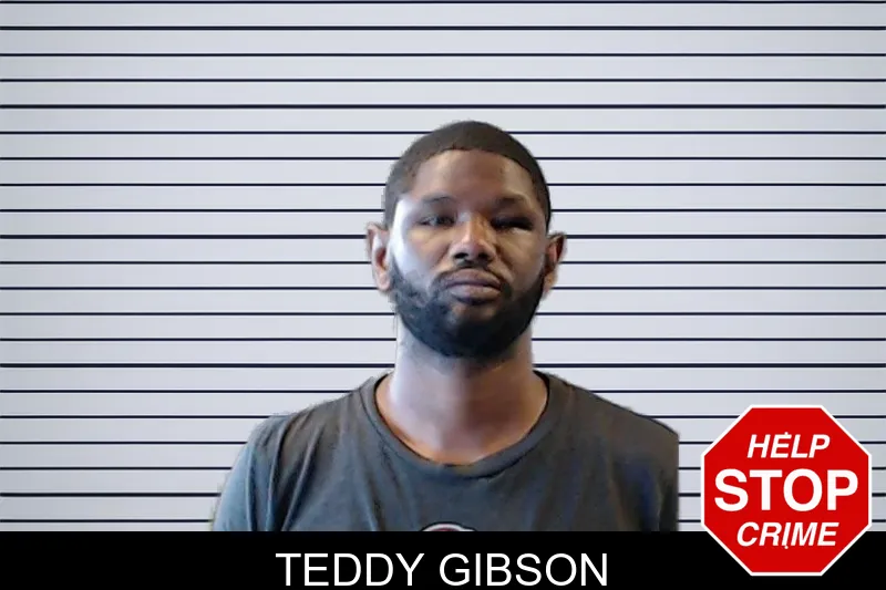 Teddy Gibson mugshot – DeKalb County , Georgia Teddy Gibson mugshot