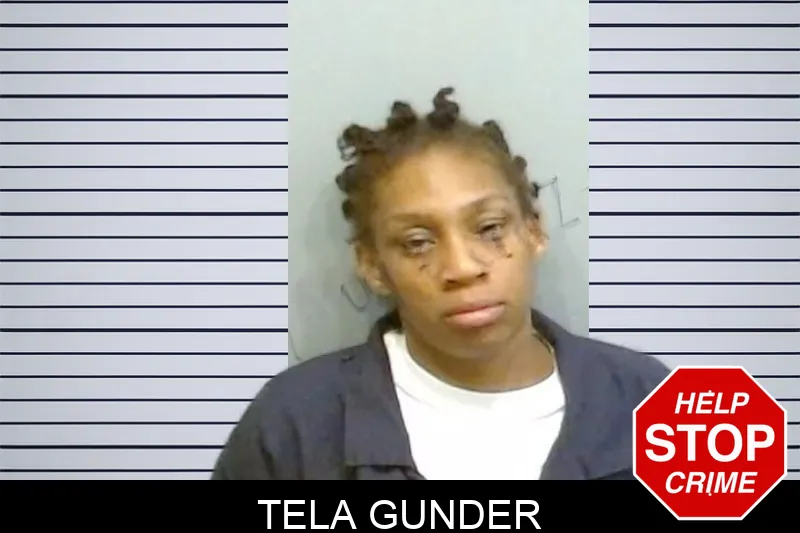 Tela Gunder mugshot