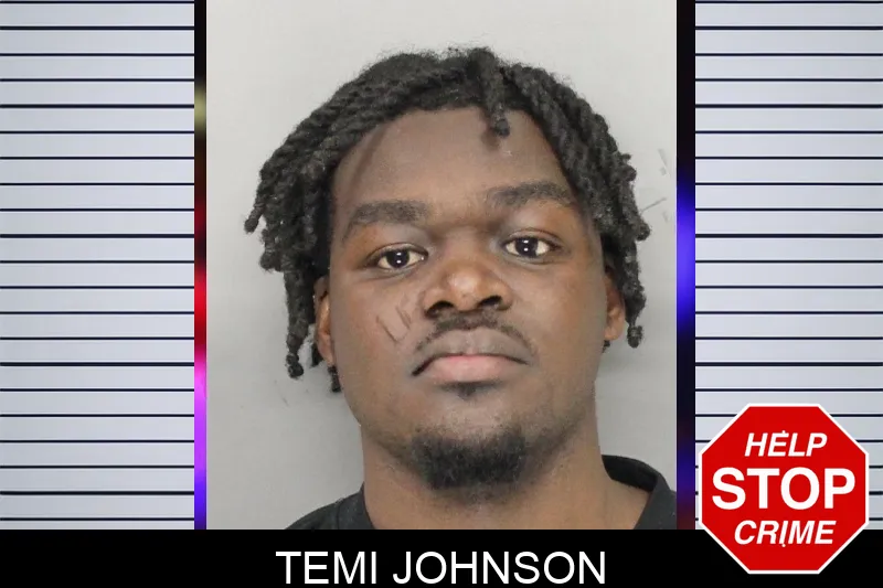 Temi Johnson mugshot