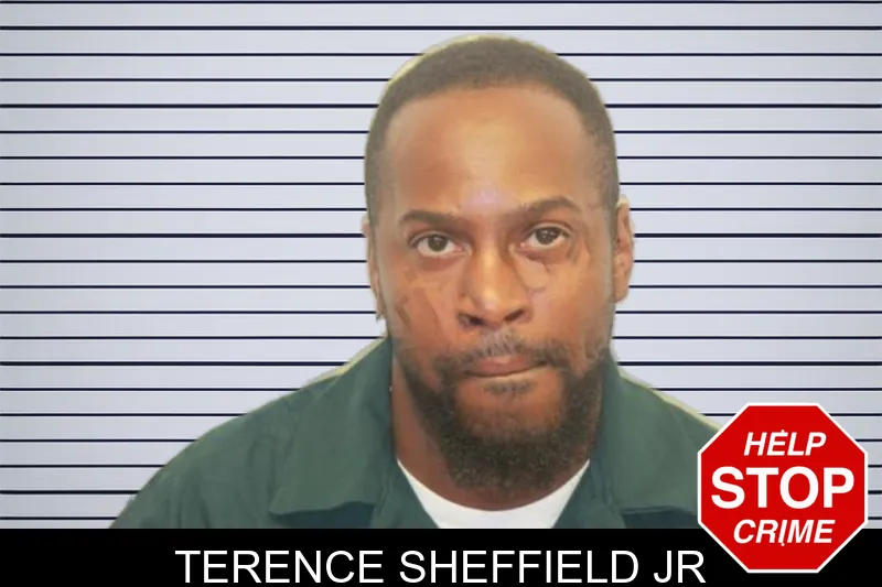 Terence Sheffield Jr mugshot