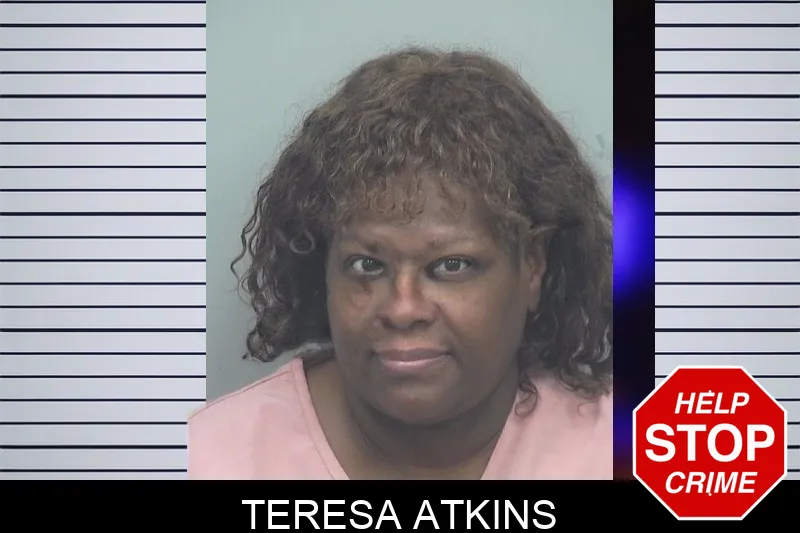 Teresa Atkins mugshot