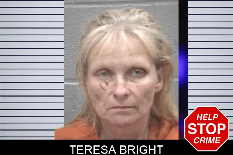 Teresa Bright mugshot