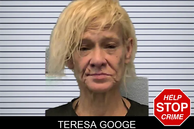 Teresa Googe mugshot