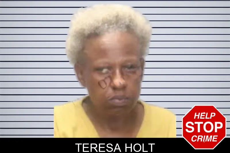 Teresa Holt mugshot