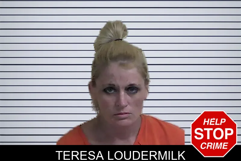 Teresa Loudermilk mugshot
