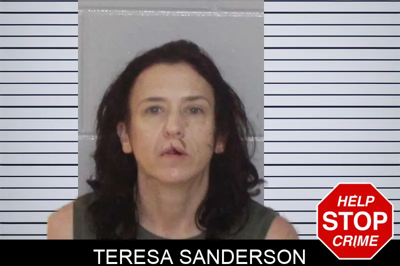 Teresa Sanderson mugshot – Morgan County , Georgia Teresa Sanderson mugshot