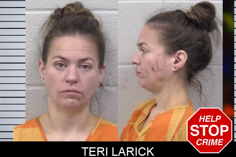 Teri Larick mugshot – Paulding County , Georgia Teri Larick mugshot