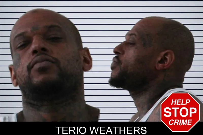 Terio Weathers mugshot
