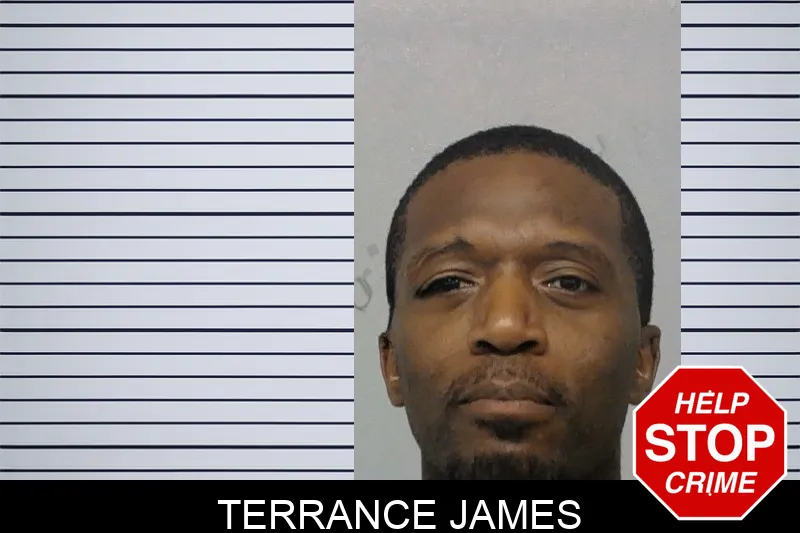 Terrance James mugshot