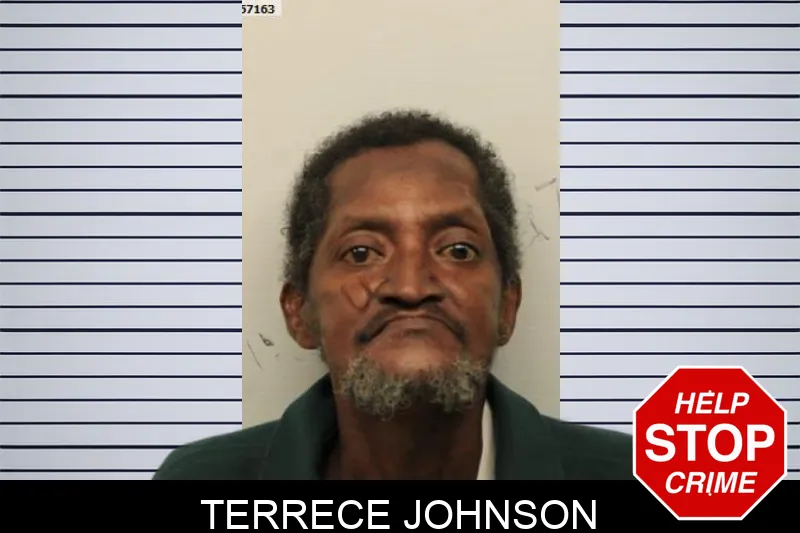 Terrece Johnson mugshot – Chatham County , Georgia Terrece Johnson mugshot