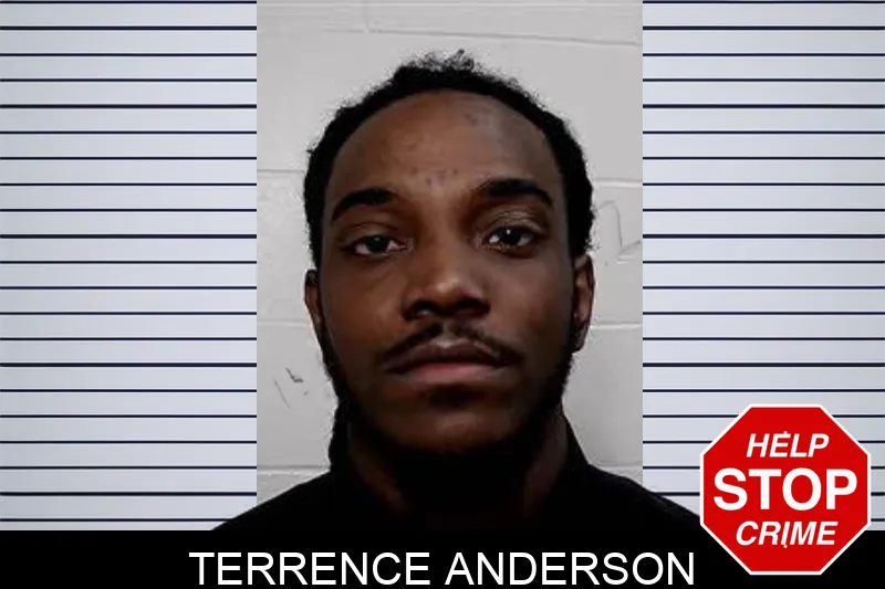 Terrence Anderson mugshot – Decatur County , Georgia Terrence Anderson mugshot