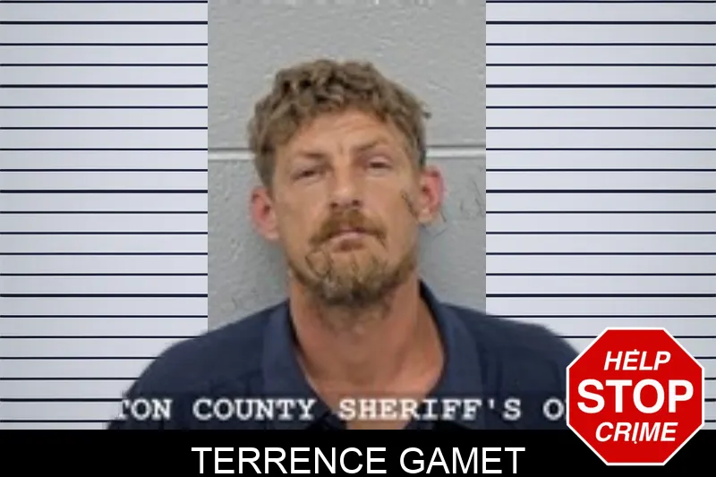 Terrence Gamet mugshot – Walton County , Georgia Terrence Gamet mugshot