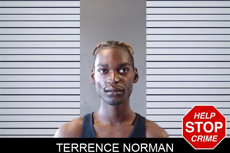 Terrence Norman mugshot