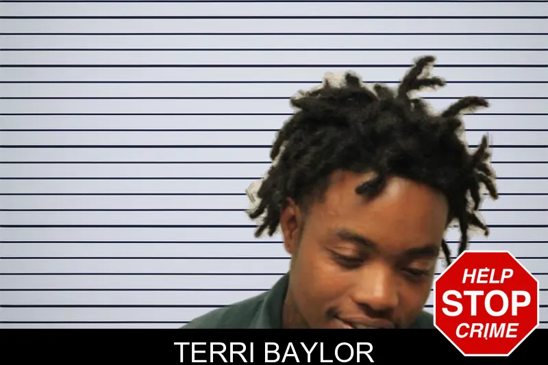 Terri Baylor mugshot