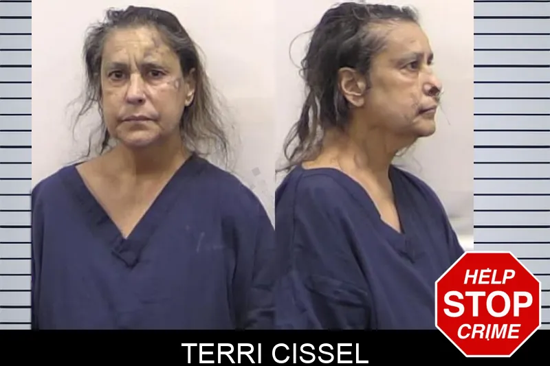 Terri Cissel mugshot