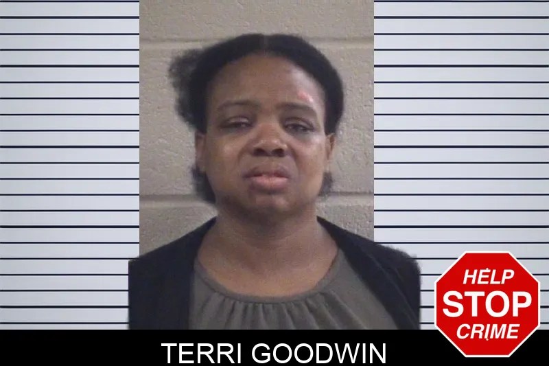 Terri Goodwin mugshot – Whitfield County , Georgia Terri Goodwin mugshot