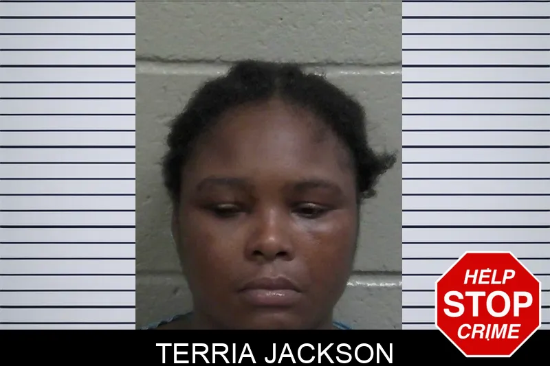 Terria Jackson mugshot – Wayne County , Georgia Terria Jackson mugshot